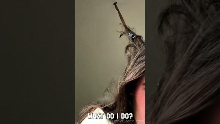 A funny fails compilation showing a bug tangled in freshly washed hair, a trampoline wipeout, a messy café bite, and a police cyclist falling off a bike.