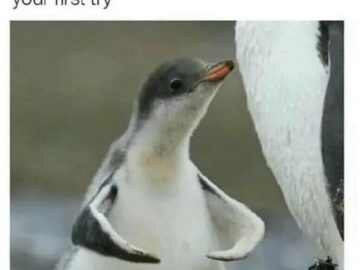 Proud penguin chick celebrates opening a jar effortlessly.